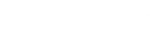 Korea Blockchain Week (KBW) logo